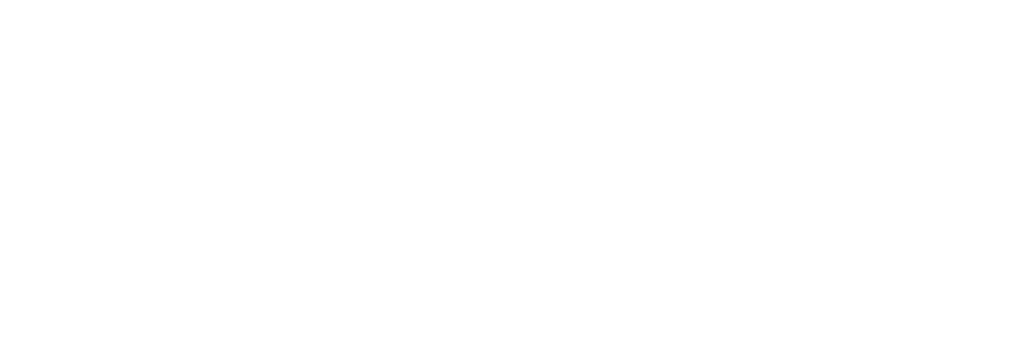 Nazarbayev University logo